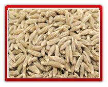 Cumin Seed