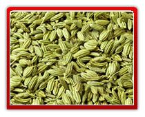 Fennel Seeds