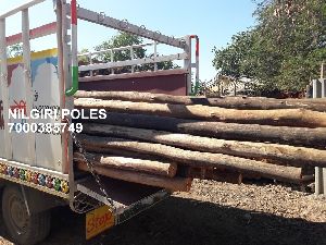 nilgiri wooden shuttering poles