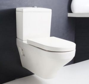 Wall Mounted Water Closet