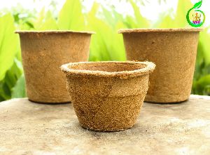 Coir Pot