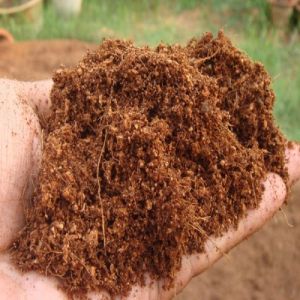 Plant Option Loose Coco peat in Bulk