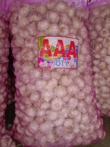 Fresh Ooty Garlic