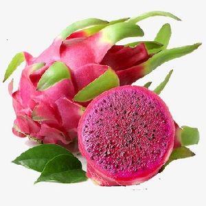 Fresh Dragon Fruit