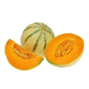 Fresh Muskmelon