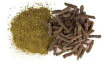 Long Pepper Extract