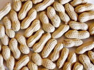 Shelled Groundnuts