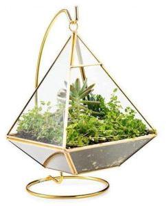 Terrarium Planters