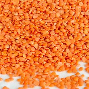 Red Lentils