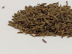 Shahi Cumin Seeds