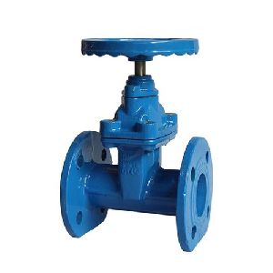 Cast Iron Valve