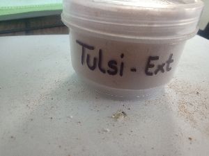 Tulsi Extract