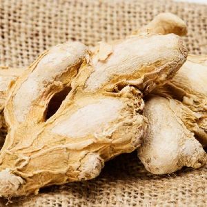 Dried Ginger