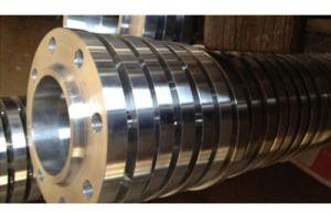 Stainless Steel Flanges