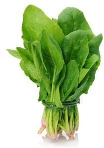 Fresh Spinach