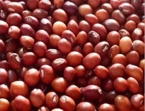 Tuar (Pigeon Peas)