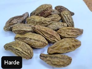 Terminalia Chebula Harad Seeds