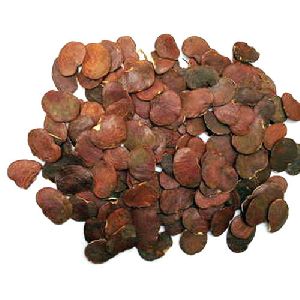 Palash Seed