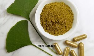 Natural Herbal Extract Powder