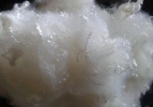 Polyester Staple Fibre