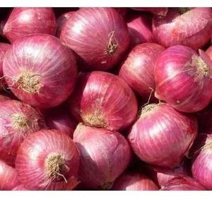 Fresh Onions