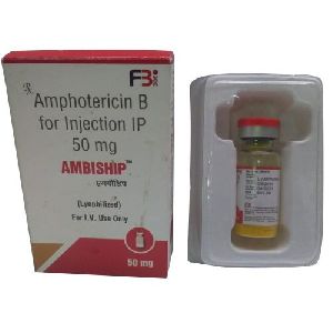 AMPHOTERICIN B