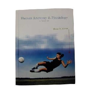 Human Anatomy And Physiology Handbook