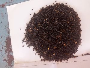 BABCHI SEEDS