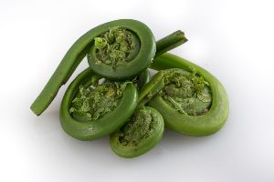 Fiddlehead Pickle