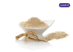 panax ginseng powder