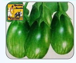 F1 Pulser Brinjal Seeds