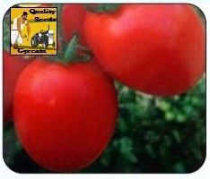 F1 Viraj Tomato Seeds