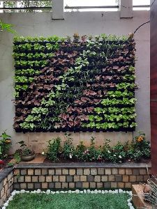 Outdoor vertical garden services