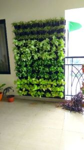 Indoor vertical garden services