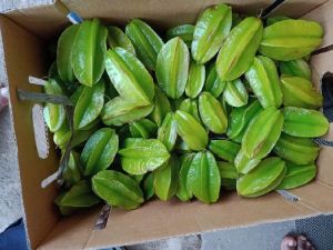 Fresh Star Fruit