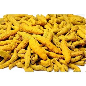 Turmeric Fingers