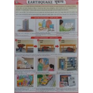 Disaster Management Charts