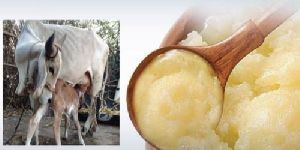 Cow Ghee