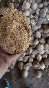 Fresh Coconut