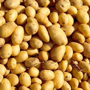 Potatoes