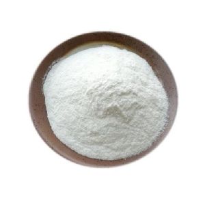 Lactase Enzyme Powder