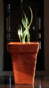 Terracotta Plastic Planter