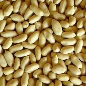 Blanched Bold Peanuts