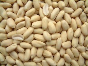 Blanched Java Peanuts