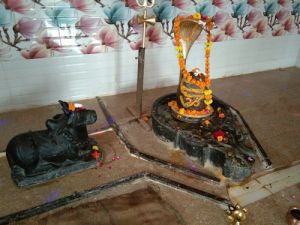 Narmadeshwar Shivling with Nandi Ji