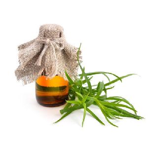 Tarragon Oil