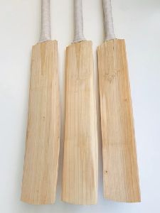 Cricket Bat