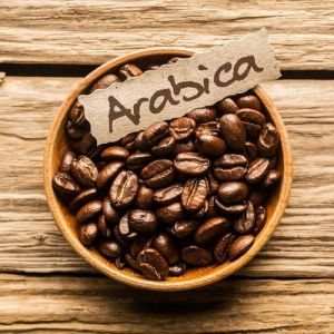 Robusta Premium Roasted Coffee Beans