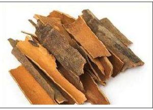 Cinnamon Bark