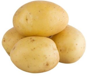 Fresh Potato